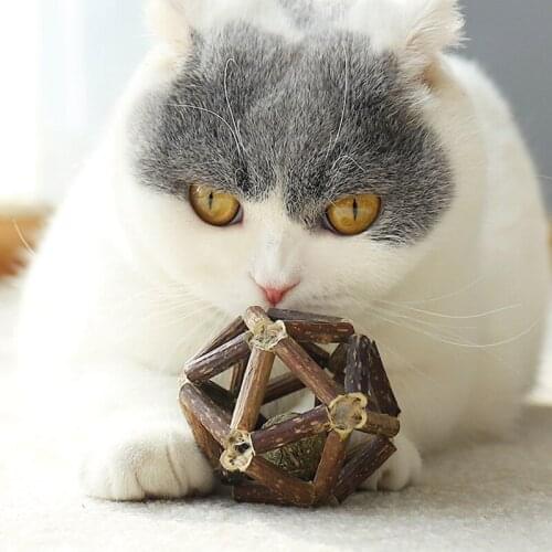 Cat Toy Ball Polygonum Capitatum Cat MINT Cats Tooth Grinding Toy Relieve Boredom And Relax Clean Teeth Increase Appetite Toy