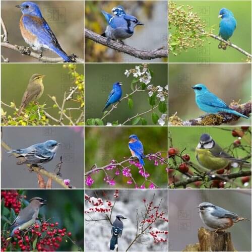 5D Diy Diamond Painting Animal Embroidery Birds Cross Stitch Embroidery Mosaic Home Decoration Wall Art Pictures Handmade Gifts