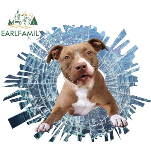 EARLFAMILY 13cm x 10.3cm 3D Pitbull Broken Glass Car Decal Animal Dog Car Sticker Rear Windshield Wall Decoration Funny Graphics