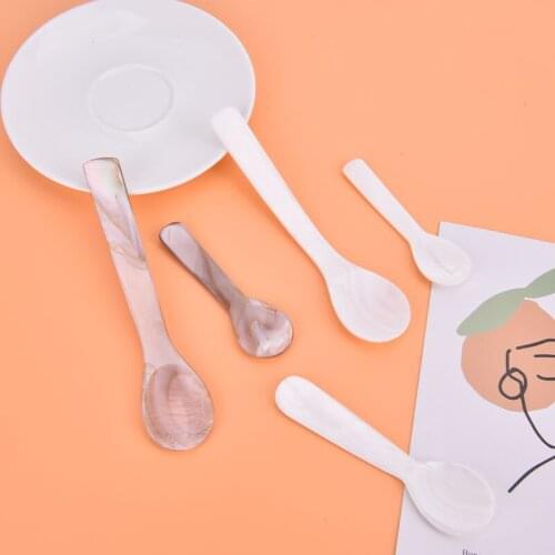 3 Sizes Natural Conch Shell Spoon Caviar Ice Cream Coffee Spoon Mother of Pearl Seashells Stirring Spoons Teaspoon Random Color