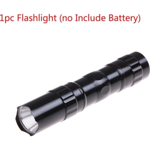 1PC Waterproof Mini LED Flashlight Torch Pocket Light Portable Lantern AA Battery Powerful Led For Hunting Camping