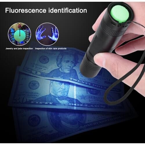 5W UV Torch 365nm Portable Rechargeable for Pet Urine Detector with Aluminium Housing Charger Battery Included SAL99