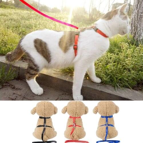 Ошейники для кошек Chubby Catus China At AliExpress