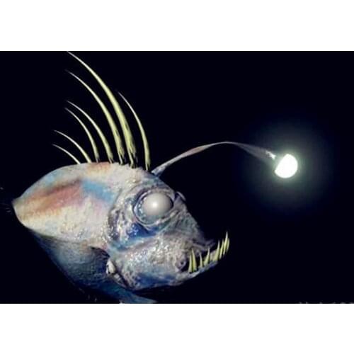 100% Original NEW SHIMANO TWIN POWER HAGANE Body Seawater Spinning Fishing Reels 2500 C3000 4000 4000MHG 4000XG C5000XG 9+1BB