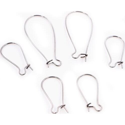 50pcs/Lot 9x18mm/11x24mm/16x38mm 316 Stainless Steel Earring hooks Kidney Earring Ear Wires Findings DIY Jewelry Making