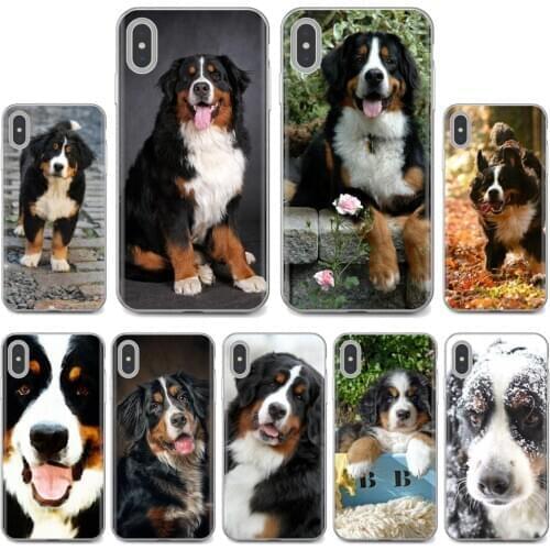 Bernese Mountain Dog puppy Sennen For Samsung Galaxy A10 A40 A50 A70 A3 A5 A7 A9 A8 A6 Plus 2018 2015 2016 2017 Soft Cases Cover