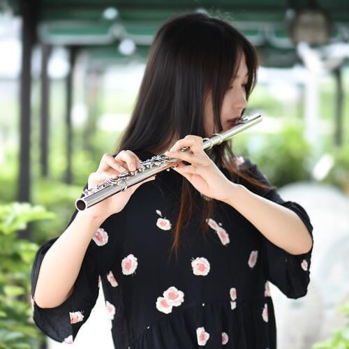 Western Concert Flute Silver Plated 16 Holes C Key Cupronickel Woodwind Instrument with Cleaning Cloth Stick Bag