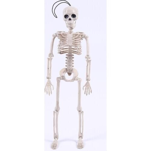 40CM Skeleton Model Wholesale Learn Aid Anatomy art sketch Halloween Flexible Human Anatomical Anatomy bone