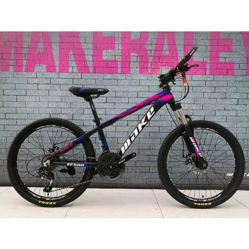 Aluminium alloy cycle frame high quality bicycle double disc brake 24 inches 24 speed mountain bike