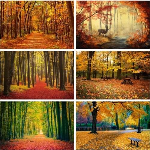 Yeele Autumn Scenery Backgrounds For Photography Forest Trail Leaf Hotographic Studio Photo Background Birthday Decorations Prop