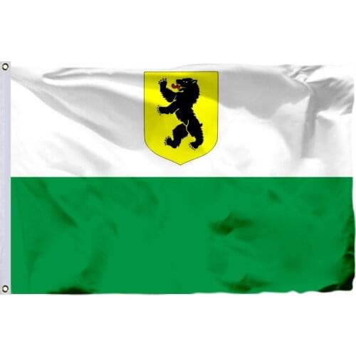 Estonia Recipient Counties Flag 90X150cm 3x5ft 120g 100D High Quality Pärnumaa Lipp Banner Free Shipping