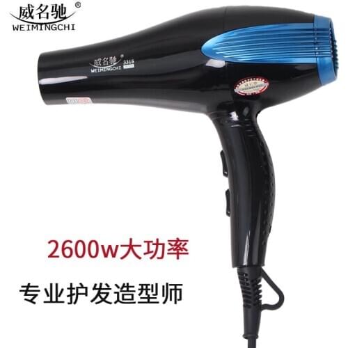 3318 Hair Salon Hair Dryer Household High Power Barber Shop 2600w Hair Dryer With Blue Light