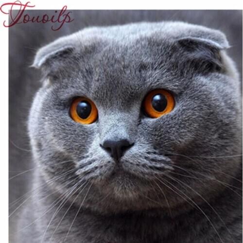 Diamond Painting 5D Drill Daimond Painting Volledig Embroidery for Home Decor Cartoon Animal Gift