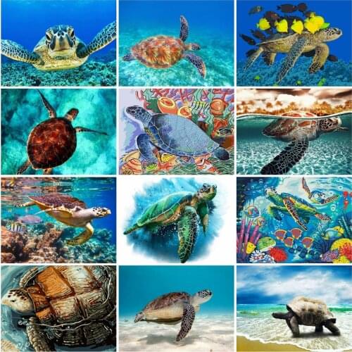 HUACAN Painting By Numbers Turtle Animal Handpainted Gift Drawing Picture By Numbers Acrylic For Adult Handicraft Decor