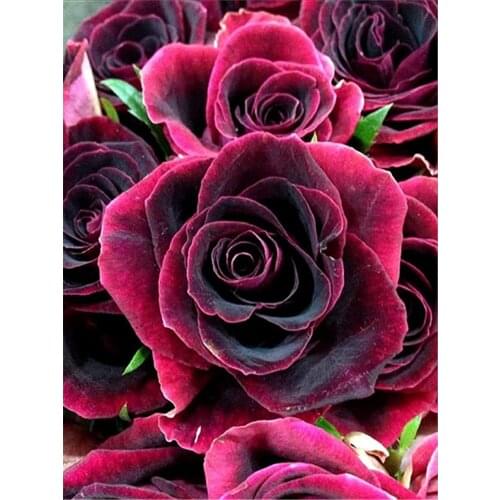 Art Flower Printed 11CT Cross-Stitch Kit DIY Embroidery DMC Threads Needlework Painting Hobby Handiwork Stamped Jewelry