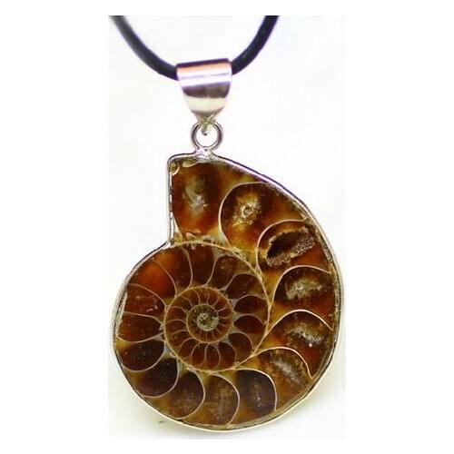 Drop shipping necklace Ammonite Fossl Inlay Pendant Stone Pendulum Chain Healing Chakra Reiki Fashion Jewelry Free shipping