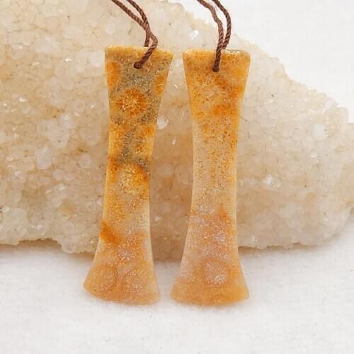 Natural Indonesian F ossil Coral fashion Semi-precious stone, Fashion Women Earriings 48x15x3mm，6.4g