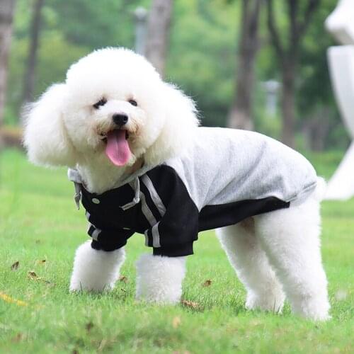 Teddy Sporty Style Hoodie Dog Clothes Cute Fashion Autumn And Winter 2021 New Pet Clothes Keep Warm Sweater For Small Dogs