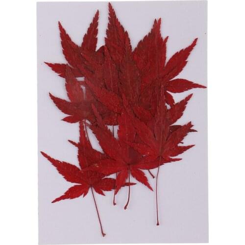 12 Pieces Natural Real Dried Flowers Leaves Red Maple Leaf Specimen for DIY Bookmarks Handmade Necklace Pendant Jewelry 4-4.5cm