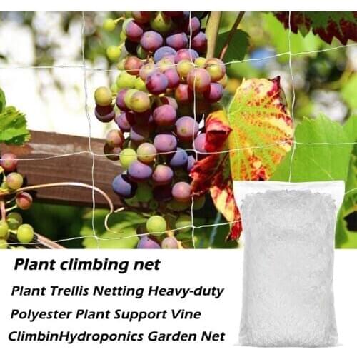 Polyester Garden Plant Climbing Net Outdoor Vine Growing Stand Morning Glory Flower Support Mesh