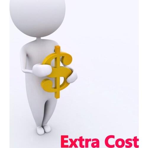 Extra Cost Make up the difference and VIP customer customized payment USD 1 Dollar