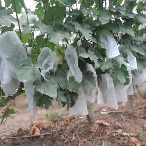 100pcs Grapes Protection Bags Fruit Vegetable Mesh Bag Against Insect Pouches Waterproof Anti-Bird Garden Pest Control