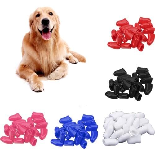 20Pcs/bag Cover + Glue And Applicator Random Color Pet Nail Caps Silicone Anti-scratch Paw Nail Cover