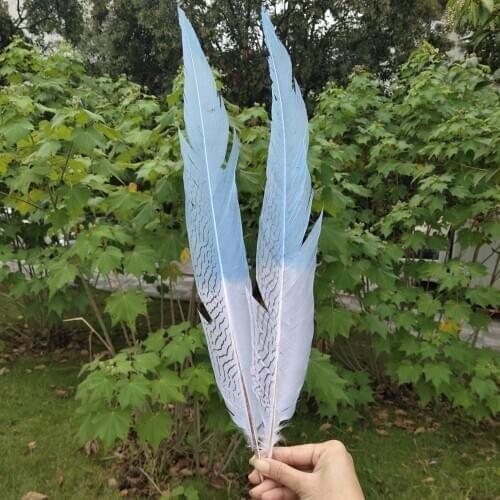 Hot 50/100 pcs Natural Silver Pheasant Tail Feather 75-80cm/30-32 inch For Wedding Christmas Home Craft New Year Decoration