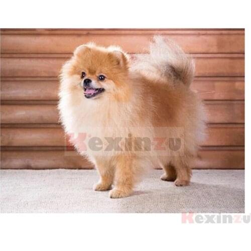 Kexinzu Full 5D DIY Square/Round Drill Diamond Painting "Animal Dog" 3d Diamond Embroidery Mosaic Cross Stitch Decor Gift KD58