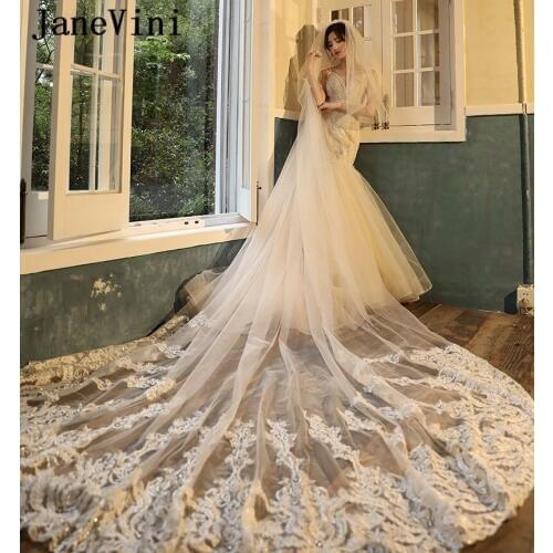 JaneVini Luxury Sequins Light Champagne Long Wedding Veil with Comb Big Applique Edge Tulle 3M Cathedral Bridal Hair Accessories