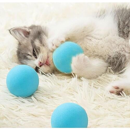 BORUIT Toys For Cats