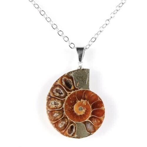 Hot Conch Seashell Pendant Necklace Women Jewelry Summer Beach Shell Choker Bohemian Shell Jewelry Men Women Fashion Gifts