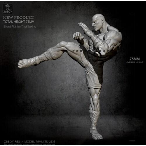 H75mm 1/24 Resin model kits man self-assembled TD-2538