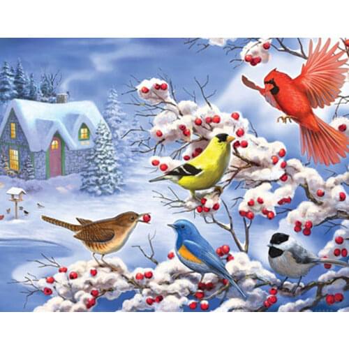 Snow Winter Bird Diamond Painting Full Square Round Drill 5D DIY Diamond Embroidery Animals Pictures Of Rhinestones Wall Decor