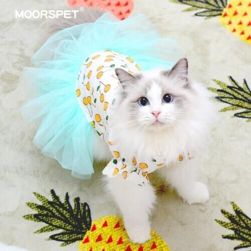 Lovely Sphinx Cat Skirt Soft Pet Cloth Cute Thin Cats Cloth Kitten Costume Cotton Dog Summer Dress