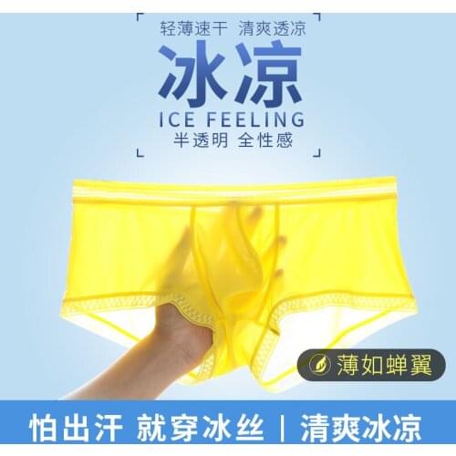 Sexy Man Ice Silk Nylon Boxers Funny Panties Male Gay Penis Pouch Jockstrap Bulge Underwear Men Shorts Super Thin See Through