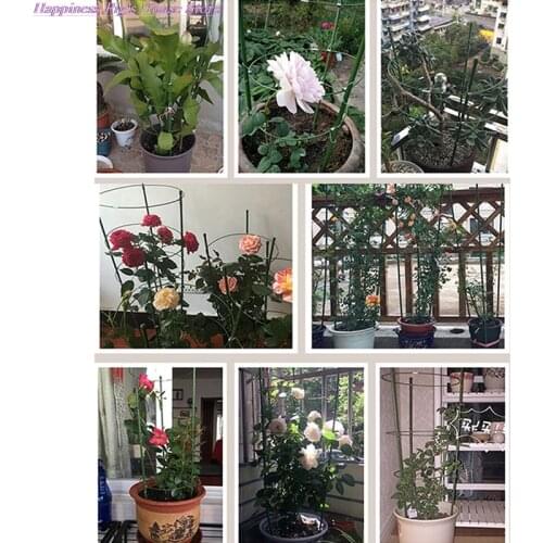 60cm Durable Creative Vine Climbing Rack Flower Decorative Gardening Tools Vegetables Plant Trellis Plant Support Frame