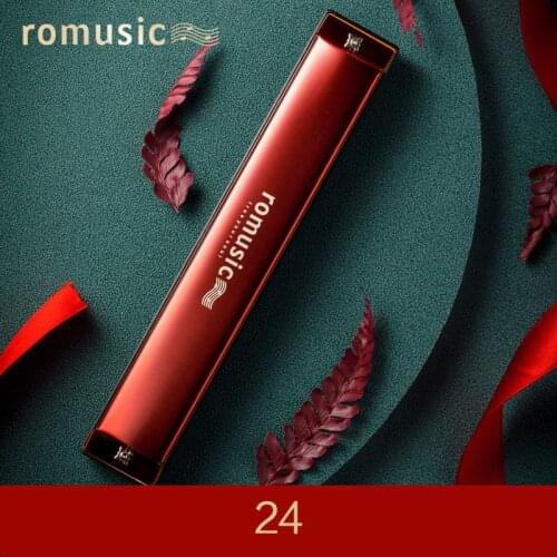 Harmonica 24 hole polyphonic c advanced adult children male students female beginners self-study professional instrument