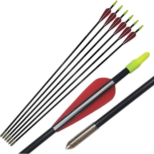 6Pcs 25'' Archery Fiberglass Arrow for Recurve Bow Hunitng Practice