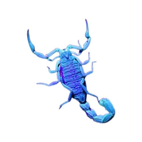 Portable Scorpion light bright violet light as light dedicated to charging the beans to catch insects caught apprehended lamp li