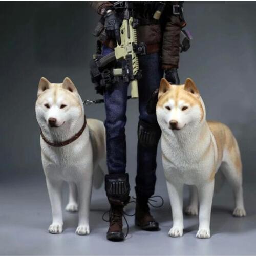 Mnotht New 1/6 Scale Siberian Husky Model Simulation Animal Pet Dog Model Toys For 12in Soldier Toy Scene Collections Hobbies
