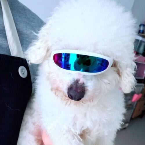 Pets Glasses 2021 Dogs Sunglasses Cat Hiking Camping Wander Fashion Parts Goggle Beach Poc Equipment Fishing Accessories очки