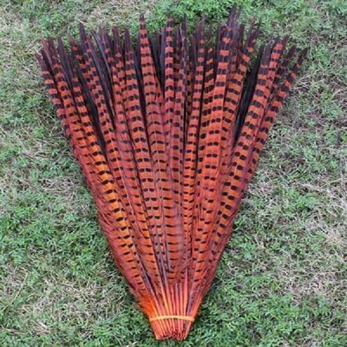 100 PCS high quality Natural orange color pheasant tail feathers 20-22 inches / 50 to 55 cm