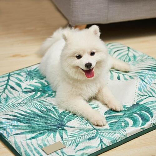 Keebgyy Houses For Dogs