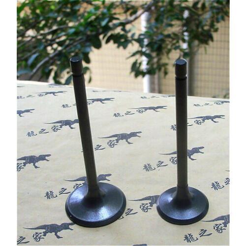Motorcycle Engine Valve Intake Exhaust Stem Valve For Zongshen CB200 HX250 CG250 200cc 250cc Dirt Bike Off Road