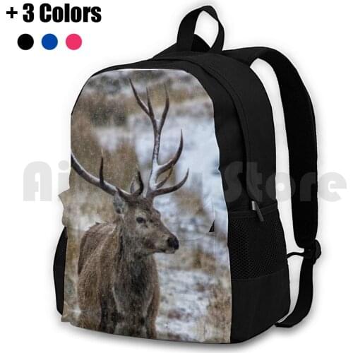 Twelve Point Stag In The Snow Outdoor Hiking Backpack Waterproof Camping Travel Animal Antlers Big Brown Buck Cautious Coat