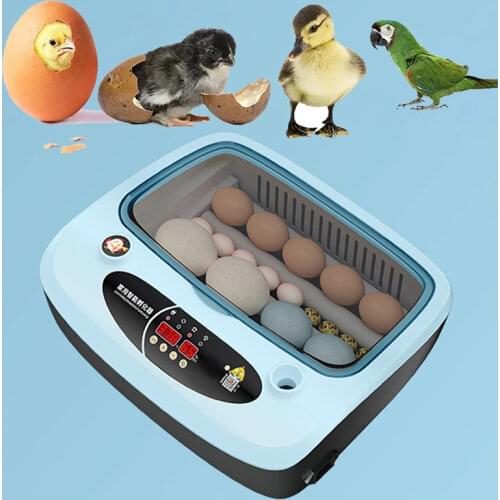 Miflame Products For Birds