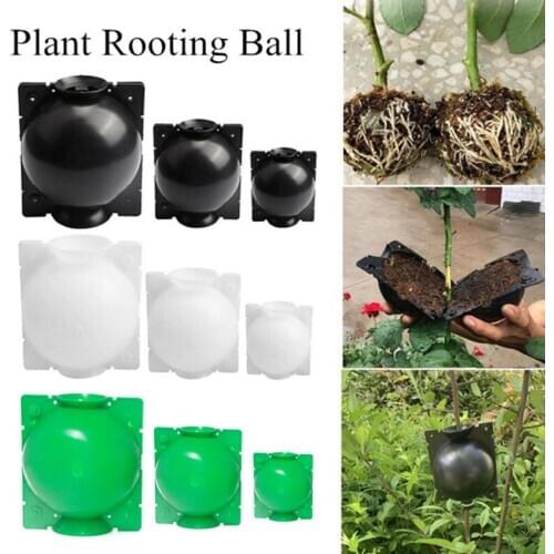 2020 1pc Plant Rooting Ball Grafting Rooting Growing Box Breeding Case for Garden