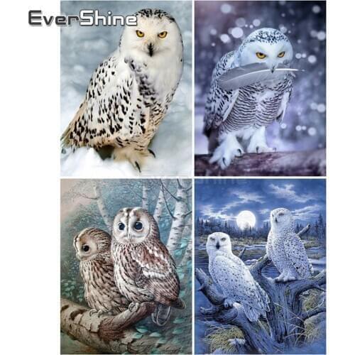 EverShine Diamond Embroidery Sale Owl Diamond Painting Full Square New Arrivals Animals Picture Rhinestones Cross Stitch Art Kit
