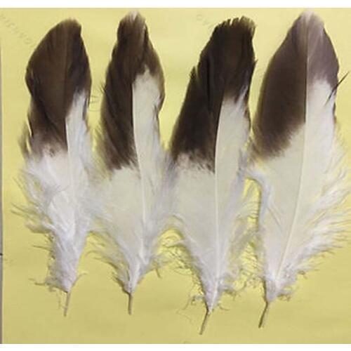 Wholesale! Rare 100Pcs Wedding and other decorative 5-10inch Pheasant Pattern feathers